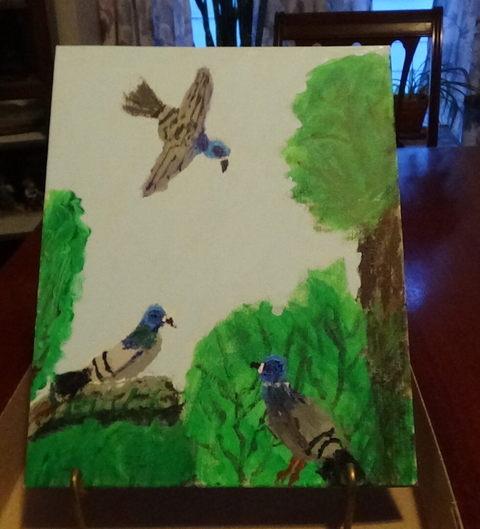 These pigeon's colors are brilliant