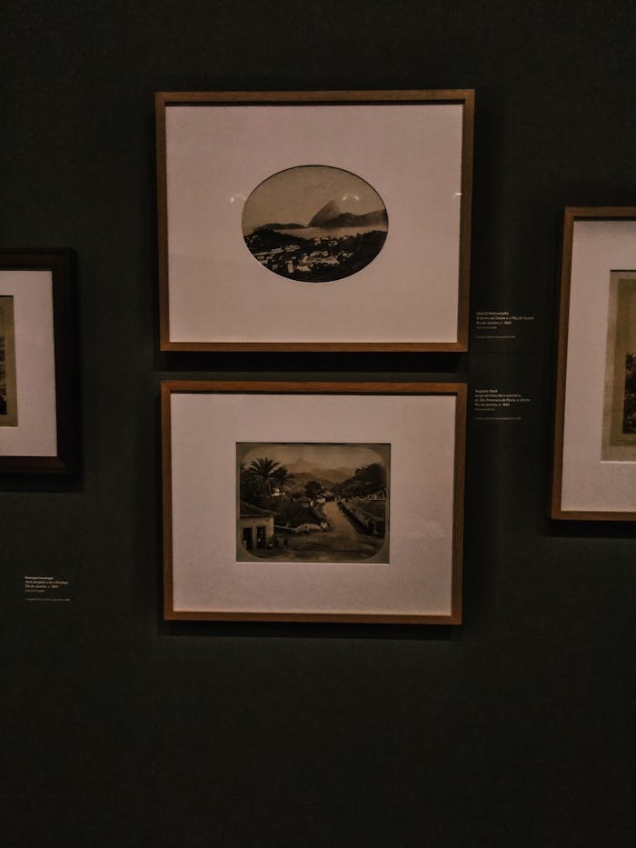 pexels photo 2233930.jpeg